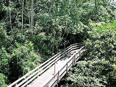 Pakaas Palafita Lodge Guayaramerim Dış mekan fotoğraf